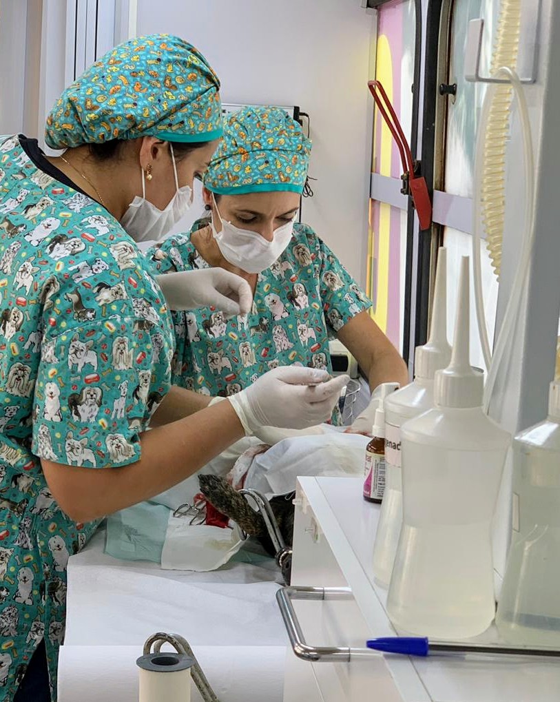 Equipe veterinária